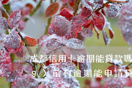 成都信用卡逾期能貸款嗎(信用卡當(dāng)前有逾期能申請貸款的沒)