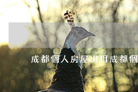 成都個人房屋出租(成都個人房屋出租交什么稅)