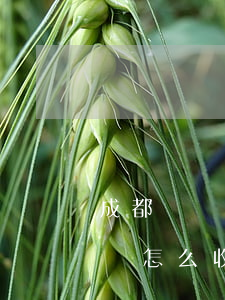 成都債權(quán)債務(wù)清理律師怎么收費-成都追債清賬合法嗎