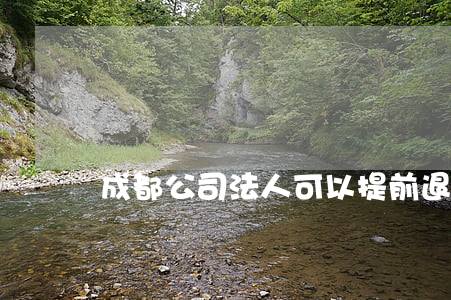 成都公司法人可以提前退休嗎