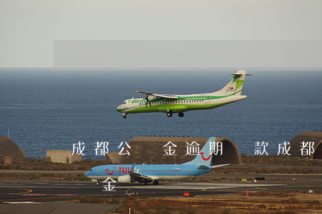 成都公積金逾期還款(成都公積金提前還款違約金)