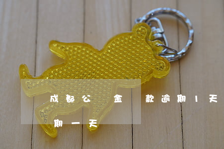 成都公積金還款逾期1天(住房公積金還款逾期一天)