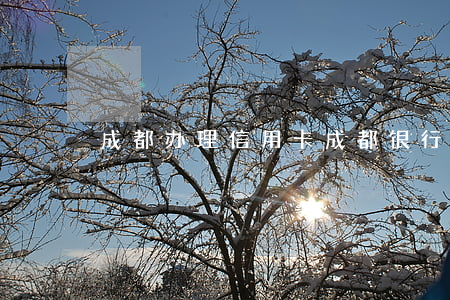 成都办理信用卡(成都银行信用卡办理)