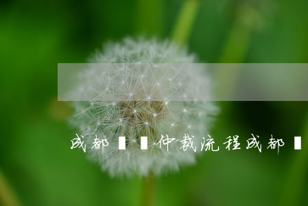 成都勞動仲裁流程(成都勞動仲裁流程)