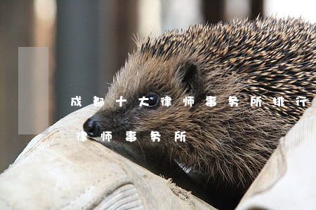 成都十大律师事务所排行(四川成都十大知名律师事务所)