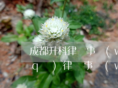 成都升科律師事務(wù)所(成都高新區(qū)律師事務(wù)所)
