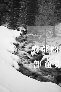 成都商業(yè)銀行信用卡逾期(信用卡全部逾期)