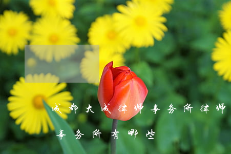 成都大成律师事务所律师排名(成都知名律师事务所有哪些)