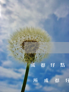 成都好點(diǎn)的律師事務(wù)所(成都好點(diǎn)的律師事務(wù)所電話)