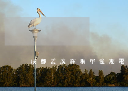 成都姜廣輝賬單逾期電話怎么不接