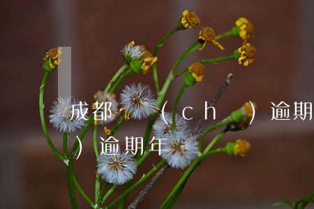 成都審車(chē)逾期-成都車(chē)逾期年檢