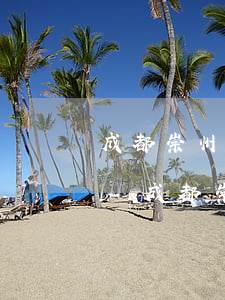 成都崇州市債務(wù)案辦理律師所地址-成都崇州市債務(wù)案辦理律師所地址電話
