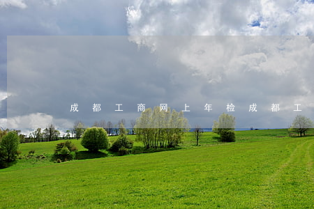 成都工商网上年检(成都工商网上年检)