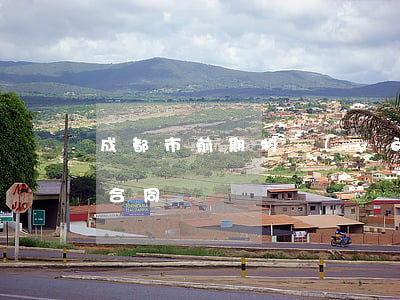 成都市前期物業(yè)管理服務(wù)合同