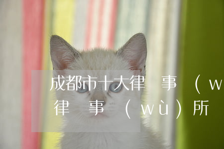 成都市十大律師事務(wù)所(成都前五名律師事務(wù)所)
