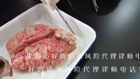 成都市好的债务风险代理律师电话-成都市好的债务风险代理律师电话号码