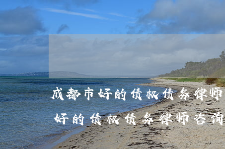 成都市好的债权债务律师咨询热线-成都市好的债权债务律师咨询热线电话