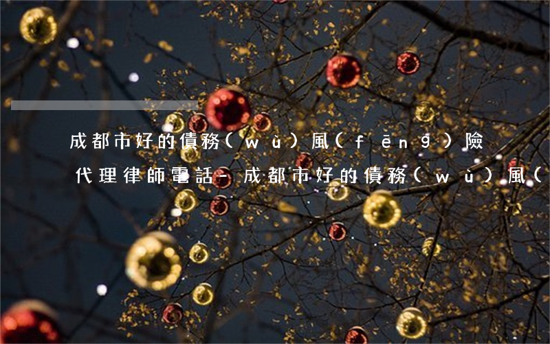 成都市好的債務(wù)風(fēng)險代理律師電話-成都市好的債務(wù)風(fēng)險代理律師電話號碼