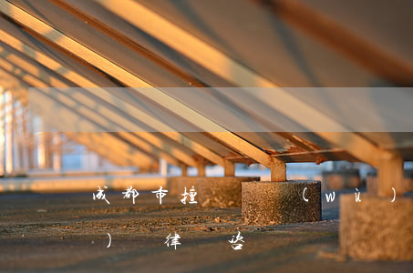 成都市擅長債務(wù)律師 成都負(fù)債律師咨詢