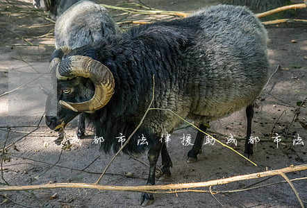 成都市法律援助(成都市法律援助中心待遇)