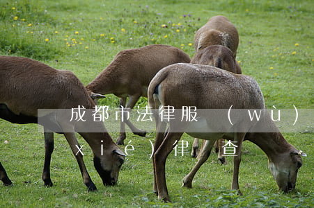 成都市法律服務(wù)所查詢(成都律協(xié)律師查詢)