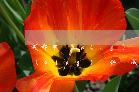 成都市網(wǎng)貸逾期停息分期申請(qǐng)條件-成都市網(wǎng)貸逾期停息分期申請(qǐng)條件是什么