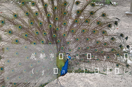 成都市網(wǎng)貸逾期停息掛賬申請(qǐng)條件 網(wǎng)貸停息掛賬申請(qǐng)辦法