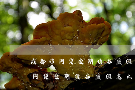 成都市网贷逾期债务重组怎么协商-成都市网贷逾期债务重组怎么协商还款