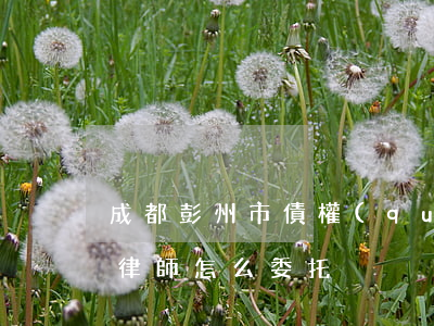 成都彭州市債權(quán)債務(wù)律師怎么委托