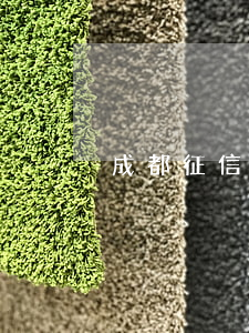 成都征信有逾期還可以給首付嗎-