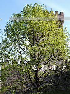 成都 律师事务所(成都律师事务所排名前十位)