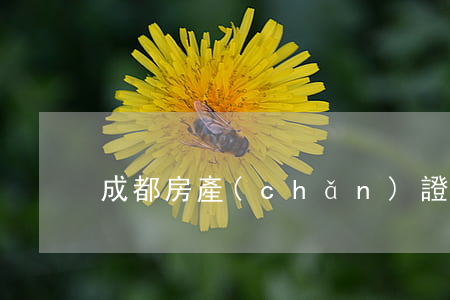 成都房產(chǎn)證查詢