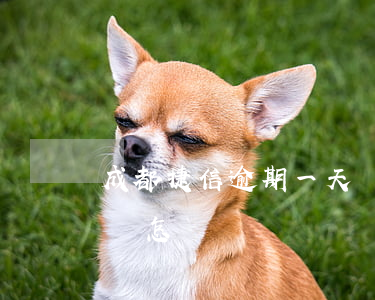 成都捷信逾期一天會怎樣(成都捷信逾期一天會怎樣)