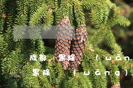 成都掃黑除惡網(wǎng)貸催收(成都掃黑除惡網(wǎng)貸催收)