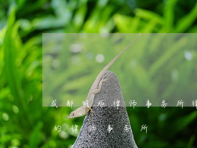 成都明炬律师事务所律师排名(成都最有名气的律师事务所)
