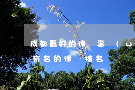 成都最好的律師事務(wù)所排行(成都最有名的律師排名)