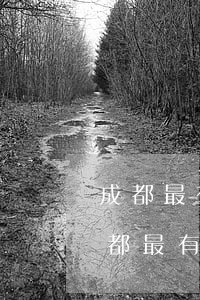 成都最有名的律師事務(wù)所在哪里(成都最有名氣的律師事務(wù)所)