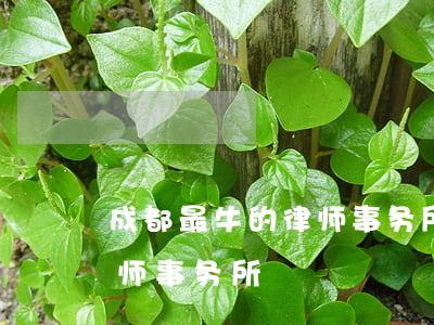 成都最牛的律师事务所(四川成都十大知名律师事务所)