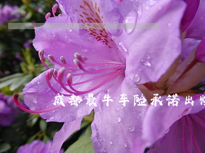 成都最牛车险承诺出炉