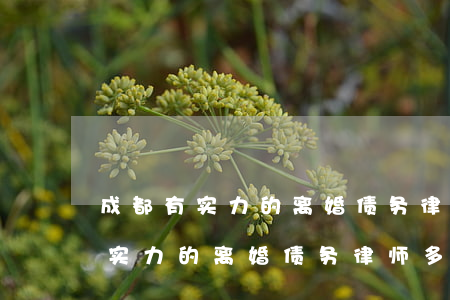 成都有实力的离婚债务律师多少钱-成都有实力的离婚债务律师多少钱一个月
