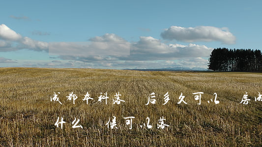 成都本科落戶后多久可以買房(成都買了房后什么時候可以落戶)