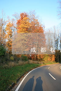 成都权威刑事律师(成都十大刑事律师)