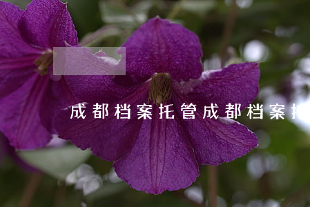 成都档案托管(成都档案托管公司)