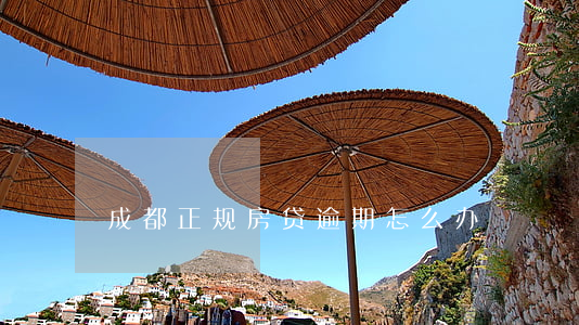 成都正规房贷逾期怎么办