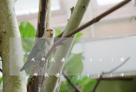 成都武侯區(qū)律師事務(wù)所(成都武侯區(qū)律師事務(wù)所電話)