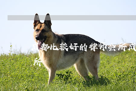 成都比较好的律师会所(成都比较好的律师会所)