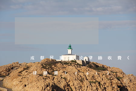 成都民事訴訟律師收費(fèi)(成都刑事律師費(fèi))