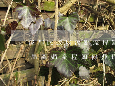 成都民政局离婚流程如何办理手续(成都民政局离婚流程如何办理手续)