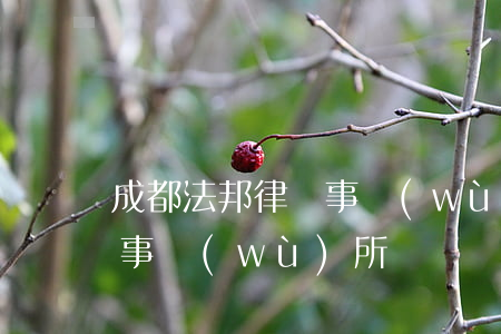 成都法邦律師事務(wù)所(成都法邦律師事務(wù)所)