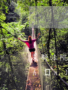 成都法院可以執(zhí)行廣元房產(chǎn)嗎(成都法院可以執(zhí)行廣元房產(chǎn)嗎)